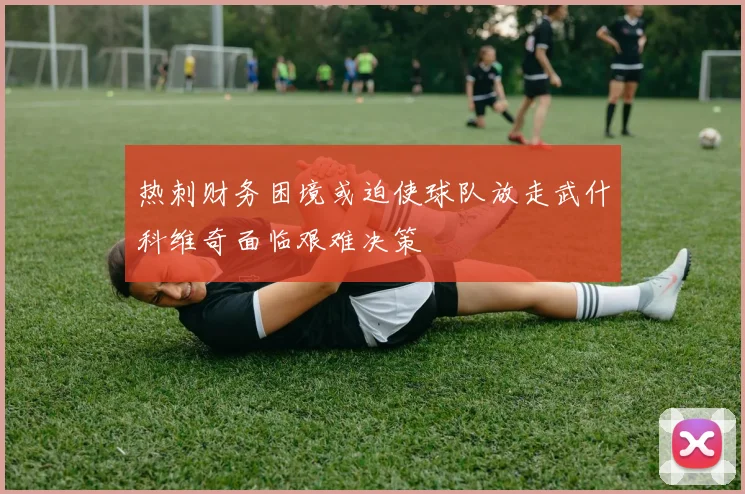 热刺财务困境或迫使球队放走武什科维奇面临艰难决策