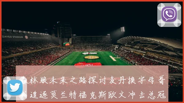 森林狼未来之路探讨麦丹换字母哥或追逐莫兰特福克斯欧文冲击总冠军